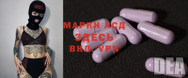 гидра Заводоуковск