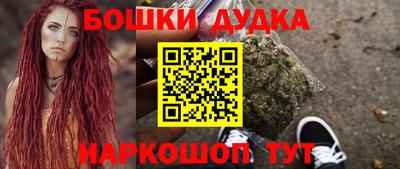 индика Комсомольск-на-Амуре