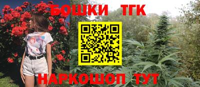 индика Комсомольск-на-Амуре