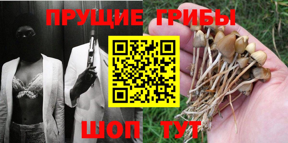 Галлюциногенные грибы мицелий Краснознаменск