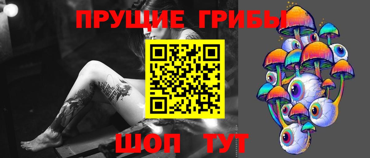 Краснознаменск  Псилоцибиновые грибы мицелий  Вход с VPN  Галлюциногенные грибы Magic Shrooms 