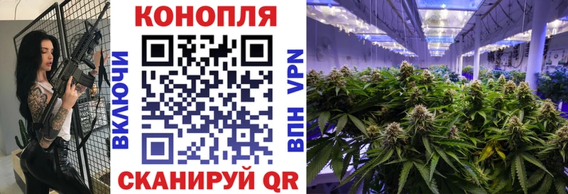 купить наркотики сайты  Краснознаменск  Бошки Шишки Amnesia 